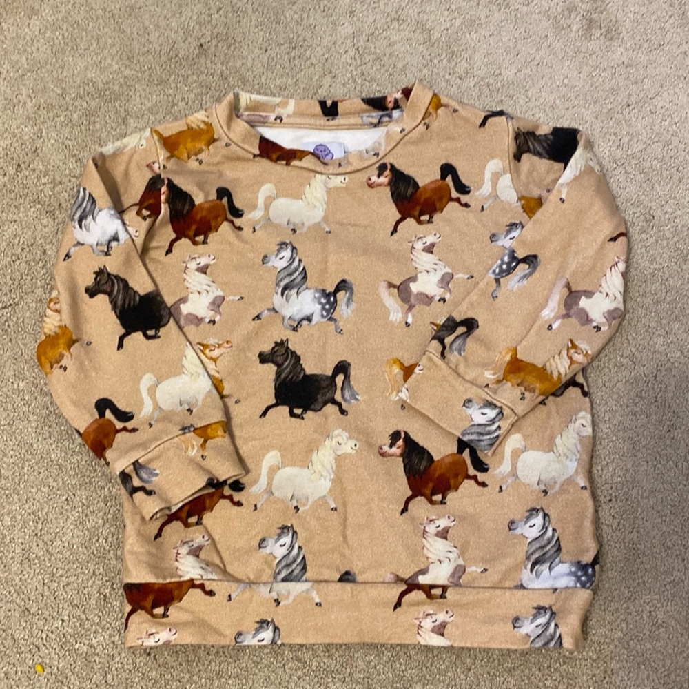 Cheeky Chickadee 3T sweater